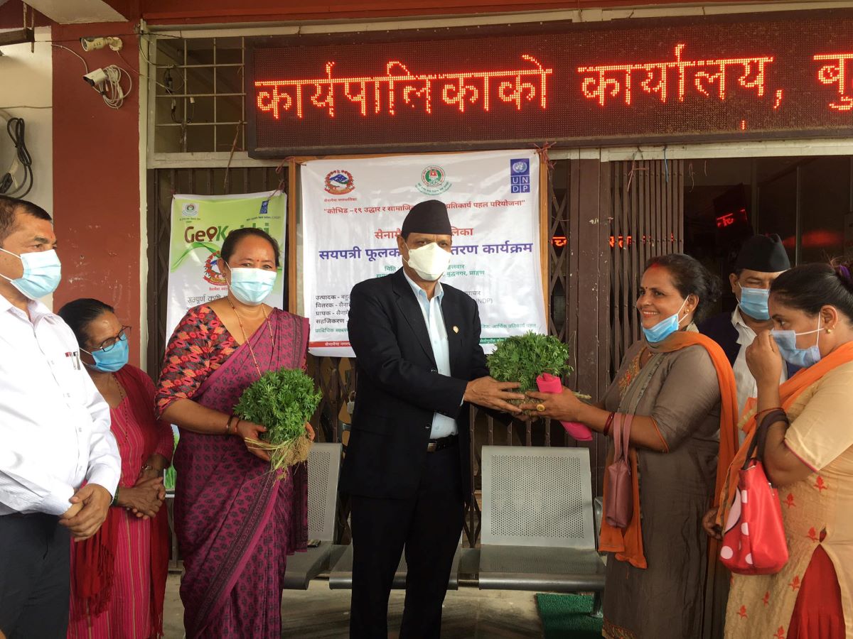 सैनामैनामा २२ हजार सयपत्री फूलको बेर्ना वितरण